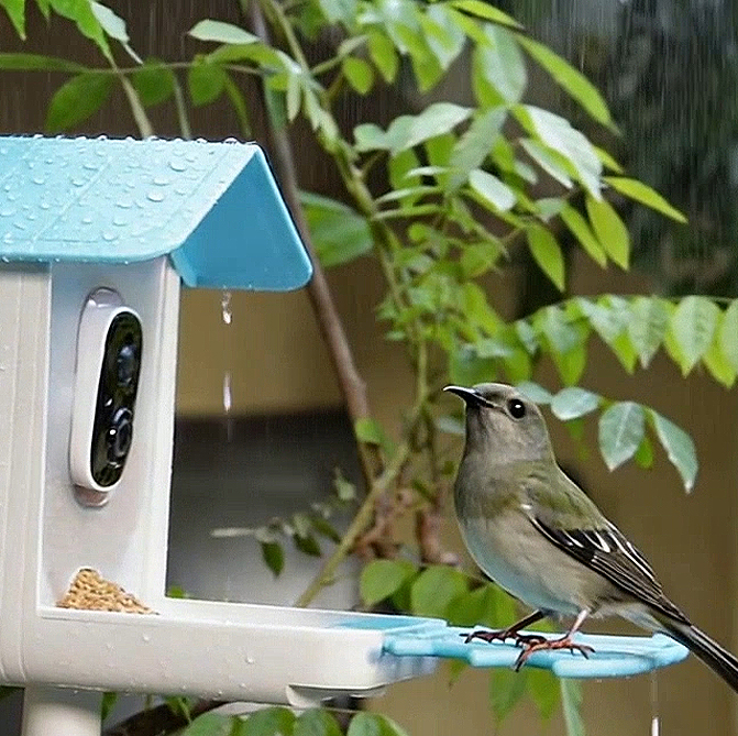 Warm Homes, Smart Security